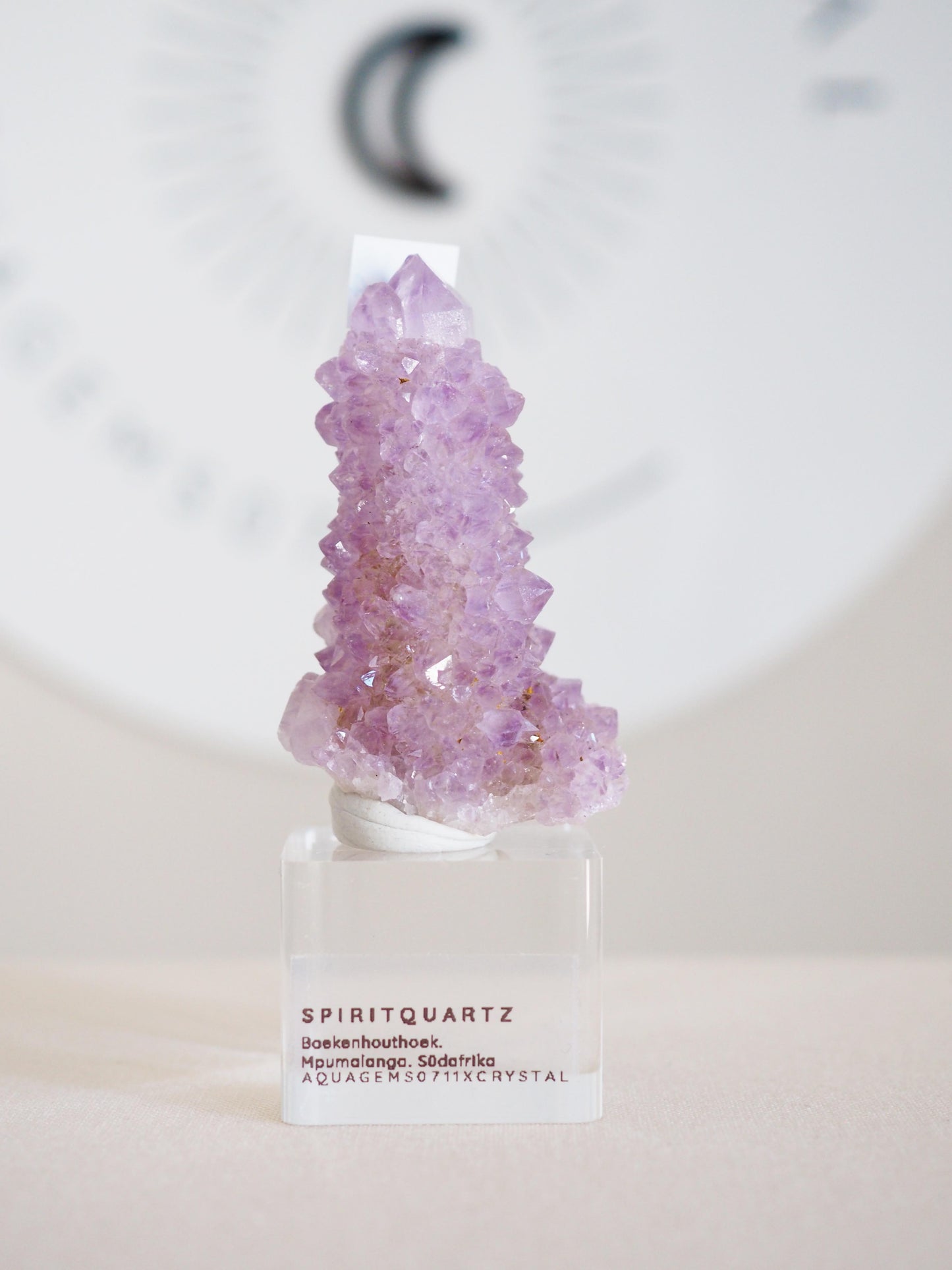 Kaktus Quarz . Spirit Quartz - aus Boekenhouthoek. Mpumalanga. Südafrika HIGH QUALITY