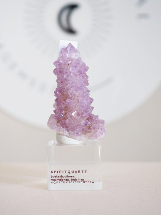 Kaktus Quarz . Spirit Quartz - aus Boekenhouthoek. Mpumalanga. Südafrika HIGH QUALITY