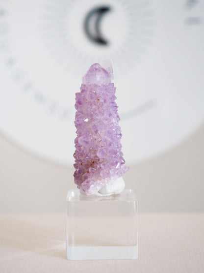 Kaktus Quarz . Spirit Quartz - aus Boekenhouthoek. Mpumalanga. Südafrika HIGH QUALITY