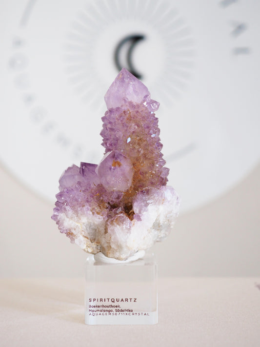 Kaktus Quarz . Spirit Quartz - aus Boekenhouthoek. Mpumalanga. Südafrika HIGH QUALITY