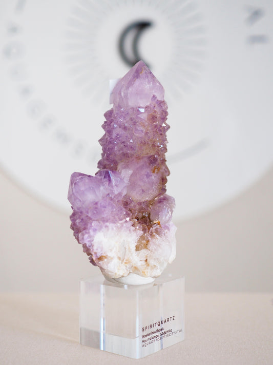 Kaktus Quarz . Spirit Quartz - aus Boekenhouthoek. Mpumalanga. Südafrika HIGH QUALITY