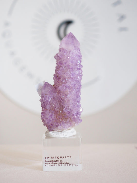 Kaktus Quarz . Spirit Quartz - aus Boekenhouthoek. Mpumalanga. Südafrika HIGH QUALITY