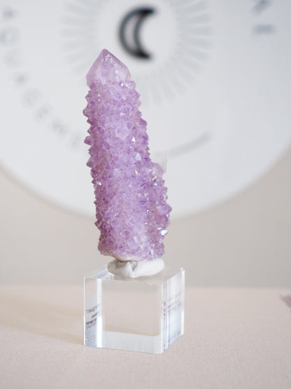 Kaktus Quarz . Spirit Quartz - aus Boekenhouthoek. Mpumalanga. Südafrika HIGH QUALITY