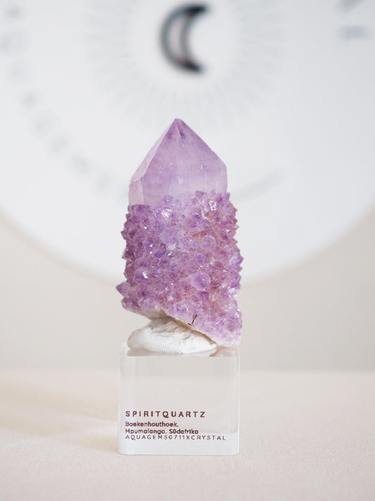 Kaktus Quarz . Spirit Quartz - aus Boekenhouthoek. Mpumalanga. Südafrika HIGH QUALITY