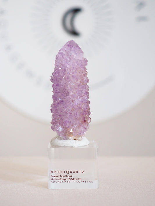 Kaktus Quarz . Spirit Quartz - aus Boekenhouthoek. Mpumalanga. Südafrika HIGH QUALITY