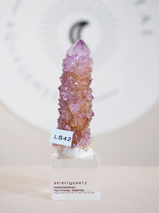 Kaktus Quarz . Spirit Quartz - aus Boekenhouthoek. Mpumalanga. Südafrika HIGH QUALITY