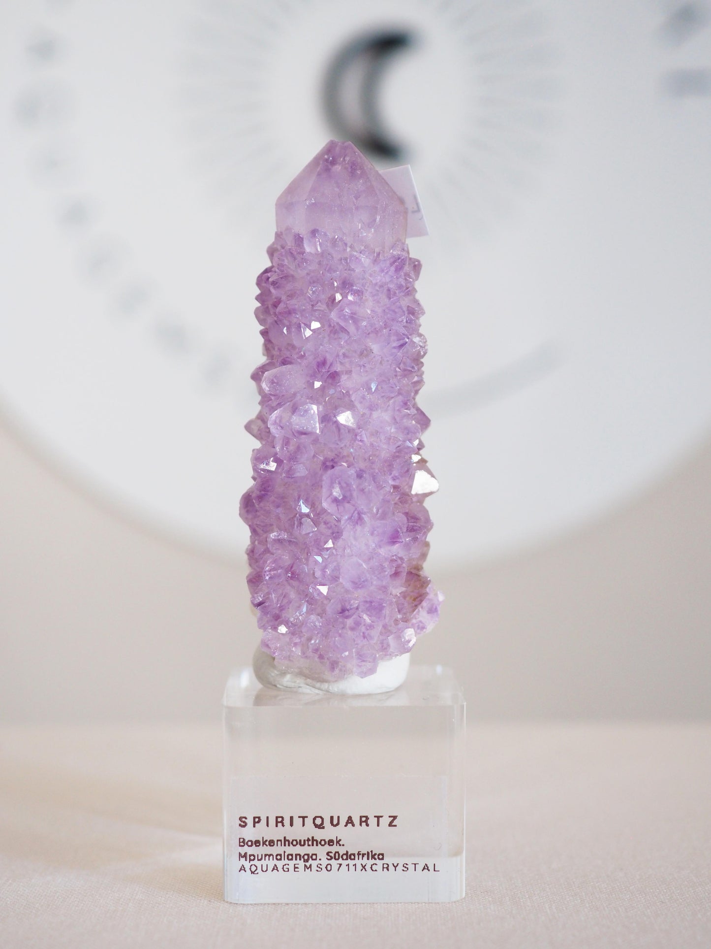Amethyst Kaktus Quarz . Spirit Quartz - aus Boekenhouthoek. Mpumalanga. Südafrika HIGH QUALITY