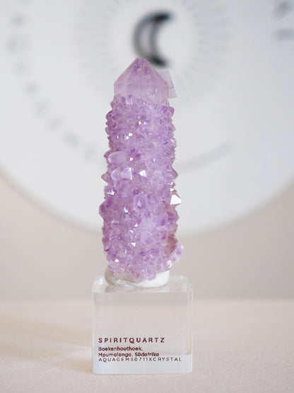 Amethyst Kaktus Quarz . Spirit Quartz - aus Boekenhouthoek. Mpumalanga. Südafrika HIGH QUALITY