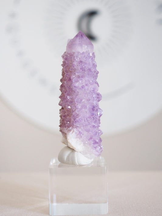 Amethyst Kaktus Quarz . Spirit Quartz - aus Boekenhouthoek. Mpumalanga. Südafrika HIGH QUALITY