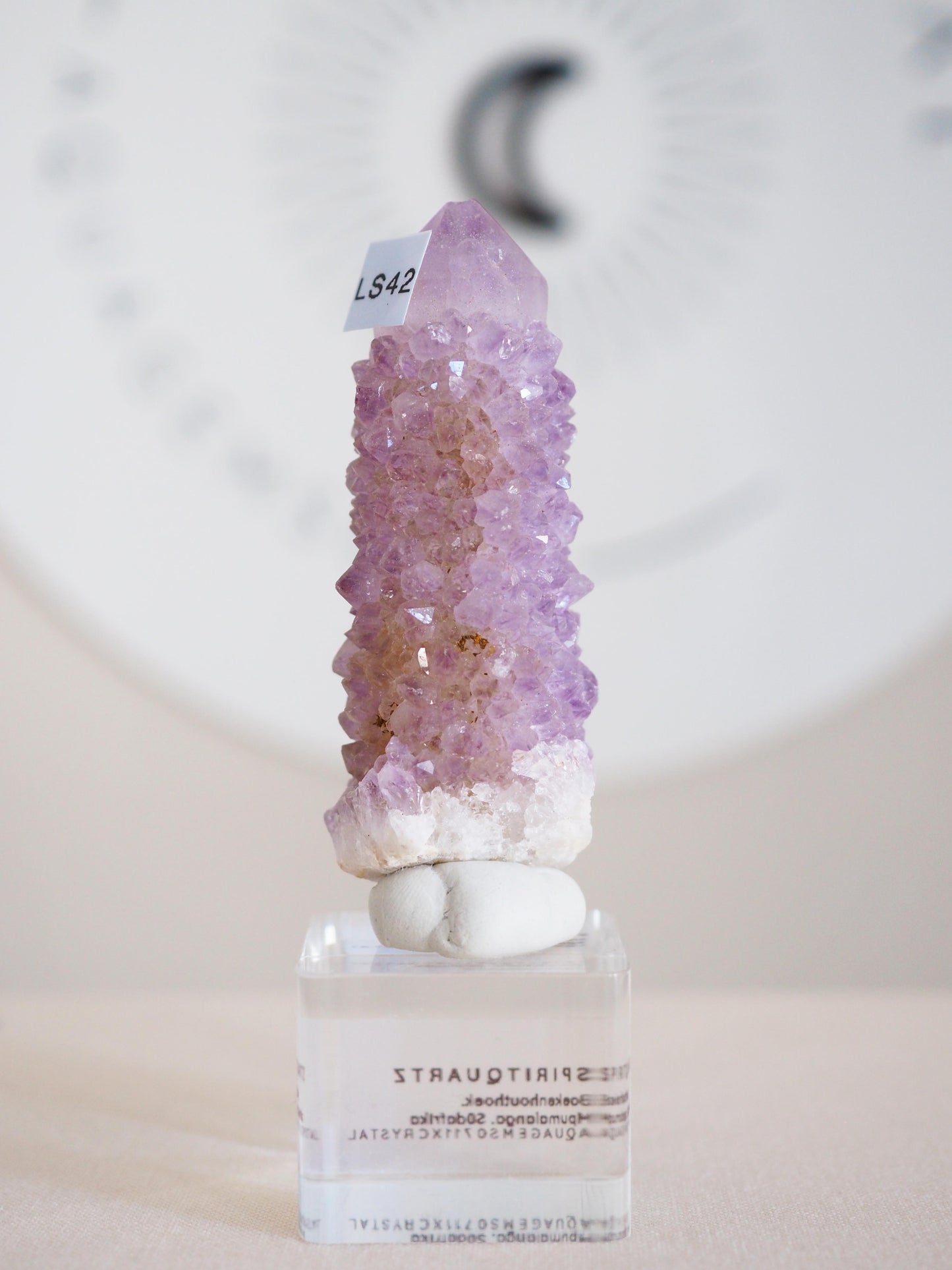 Amethyst Kaktus Quarz . Spirit Quartz - aus Boekenhouthoek. Mpumalanga. Südafrika HIGH QUALITY