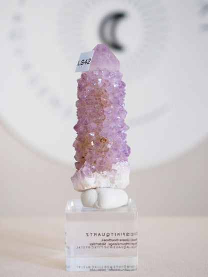 Amethyst Kaktus Quarz . Spirit Quartz - aus Boekenhouthoek. Mpumalanga. Südafrika HIGH QUALITY
