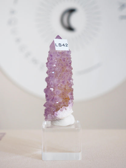 Amethyst Kaktus Quarz . Spirit Quartz - aus Boekenhouthoek. Mpumalanga. Südafrika HIGH QUALITY