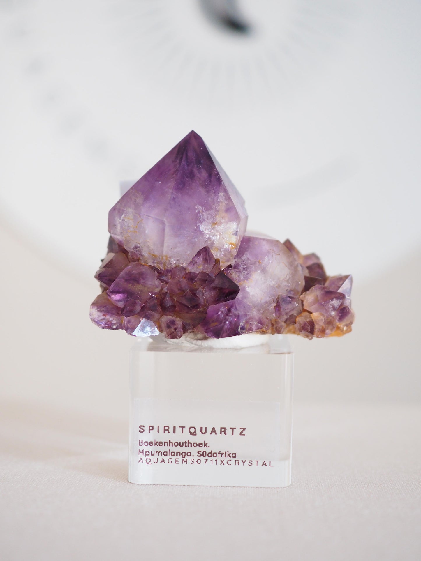 Amethyst Kaktus Quarz Cluster Deep Violett . Spirit Quartz - aus Boekenhouthoek. Mpumalanga. Südafrika HIGH QUALITY