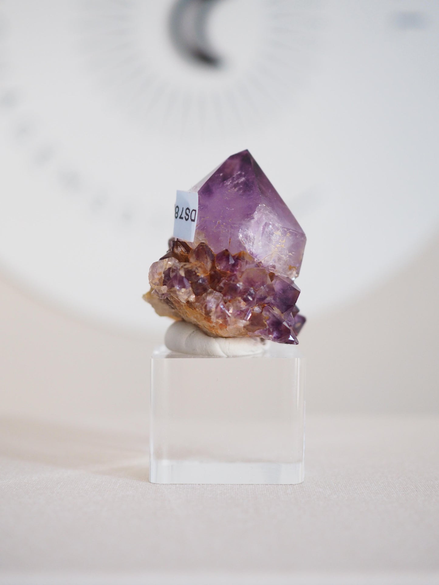 Amethyst Kaktus Quarz Cluster Deep Violett . Spirit Quartz - aus Boekenhouthoek. Mpumalanga. Südafrika HIGH QUALITY