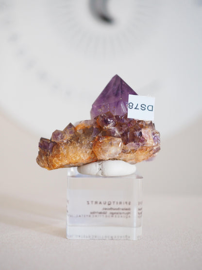 Amethyst Kaktus Quarz Cluster Deep Violett . Spirit Quartz - aus Boekenhouthoek. Mpumalanga. Südafrika HIGH QUALITY