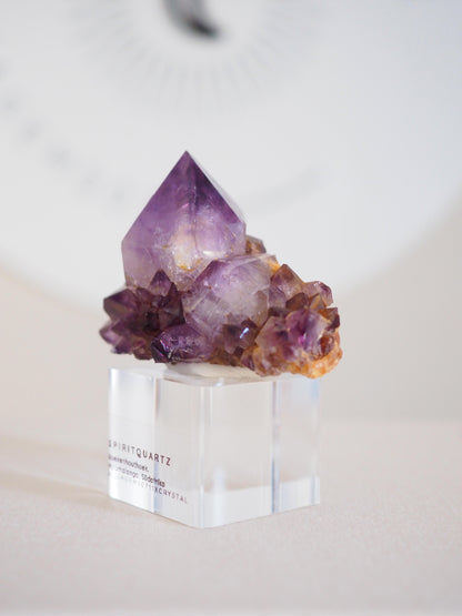 Amethyst Kaktus Quarz Cluster Deep Violett . Spirit Quartz - aus Boekenhouthoek. Mpumalanga. Südafrika HIGH QUALITY