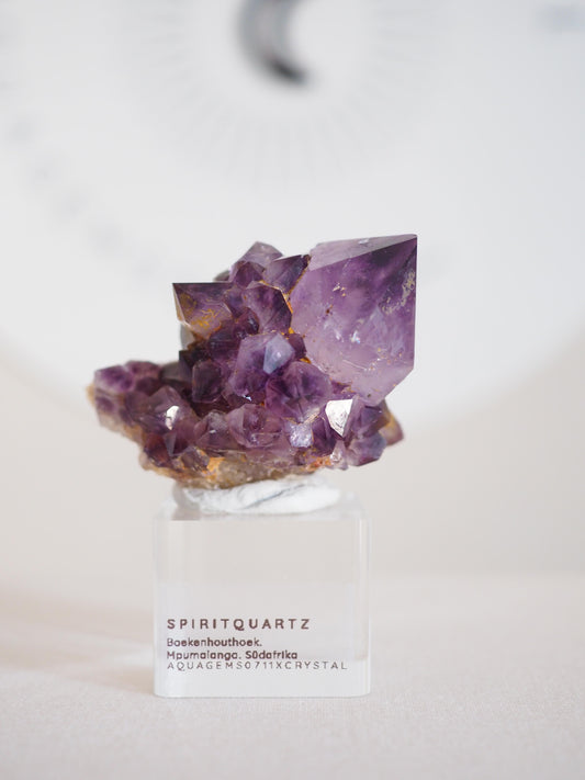 Amethyst Kaktus Quarz Deep Violett . Spirit Quartz - aus Boekenhouthoek. Mpumalanga. Südafrika HIGH QUALITY