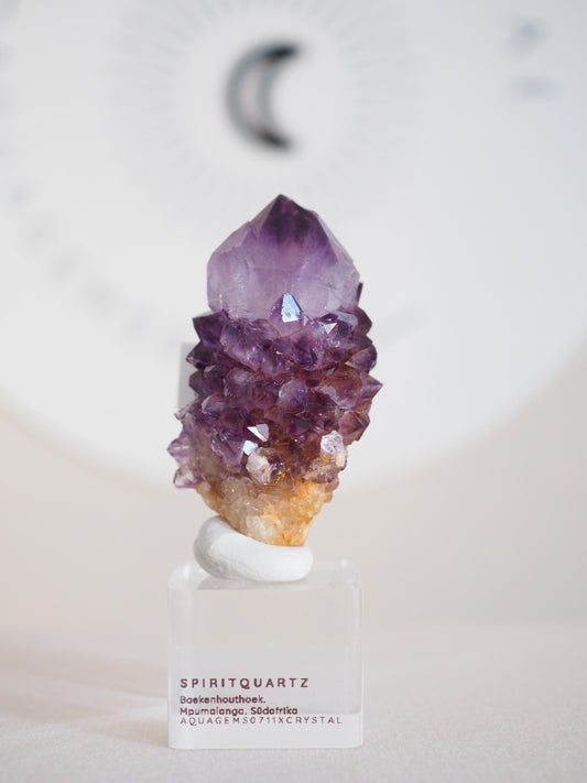 Amethyst Kaktus Quarz Deep Violett . Spirit Quartz - aus Boekenhouthoek. Mpumalanga. Südafrika HIGH QUALITY