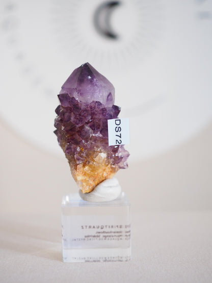 Amethyst Kaktus Quarz Deep Violett . Spirit Quartz - aus Boekenhouthoek. Mpumalanga. Südafrika HIGH QUALITY