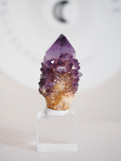 Amethyst Kaktus Quarz Deep Violett . Spirit Quartz - aus Boekenhouthoek. Mpumalanga. Südafrika HIGH QUALITY