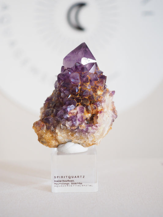 Amethyst Kaktus Quarz Deep Violett . Spirit Quartz - aus Boekenhouthoek. Mpumalanga. Südafrika HIGH QUALITY