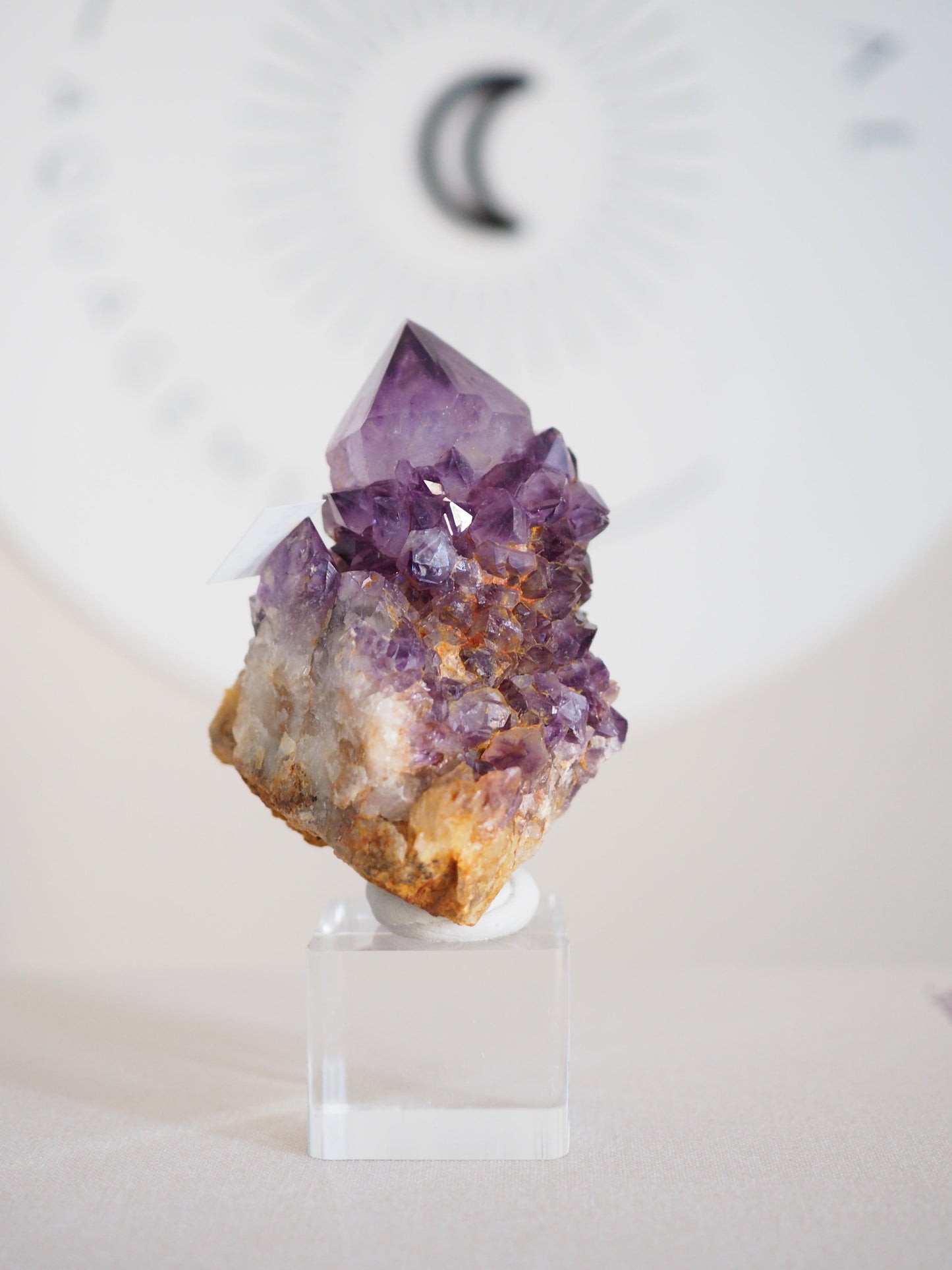 Amethyst Kaktus Quarz Deep Violett . Spirit Quartz - aus Boekenhouthoek. Mpumalanga. Südafrika HIGH QUALITY