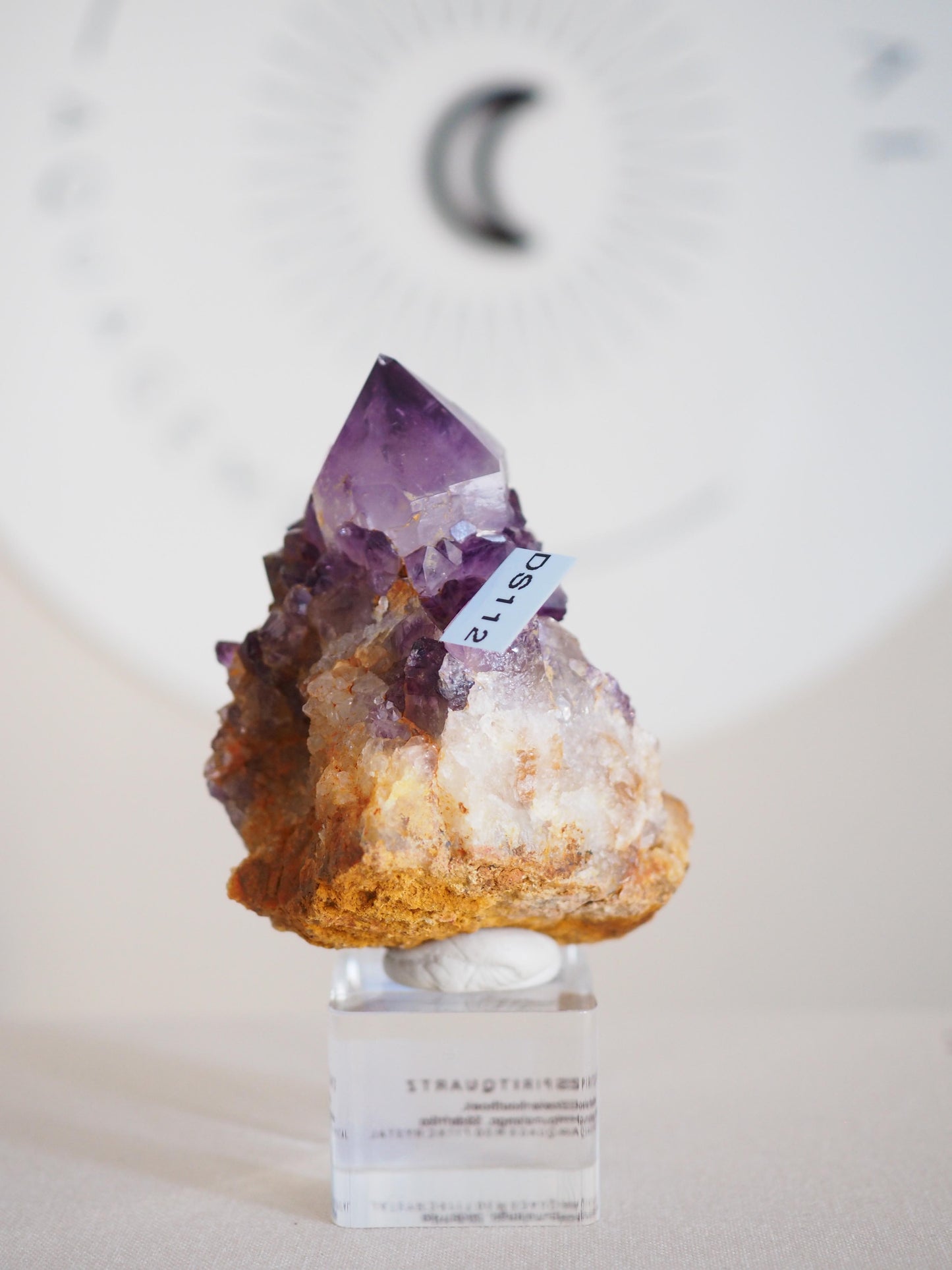 Amethyst Kaktus Quarz Deep Violett . Spirit Quartz - aus Boekenhouthoek. Mpumalanga. Südafrika HIGH QUALITY