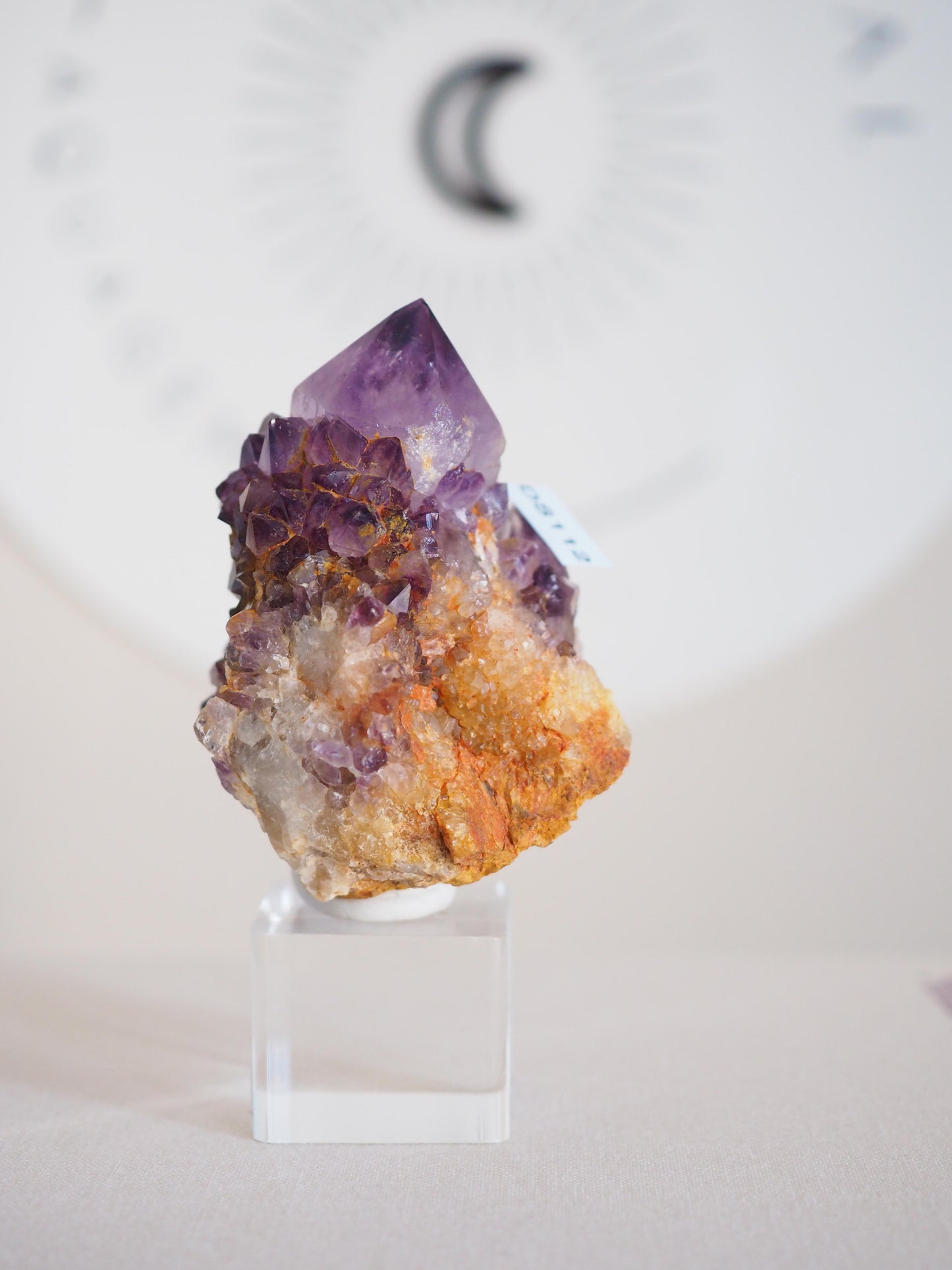 Amethyst Kaktus Quarz Deep Violett . Spirit Quartz - aus Boekenhouthoek. Mpumalanga. Südafrika HIGH QUALITY