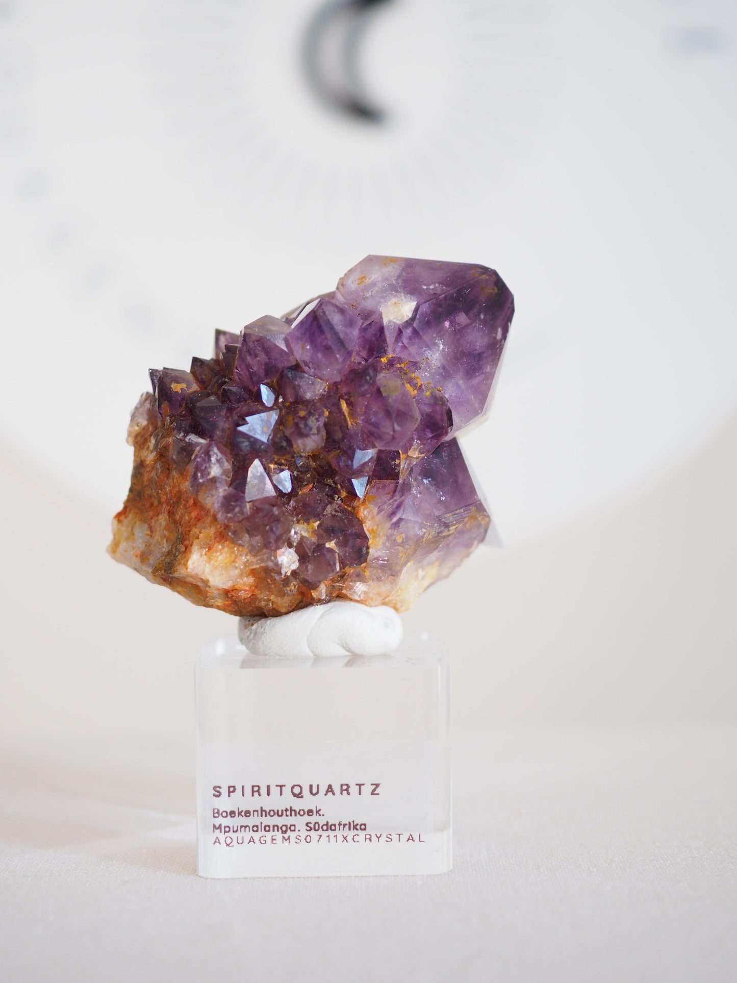Amethyst Kaktus Quarz Cluster Deep Violett . Spirit Quartz - aus Boekenhouthoek. Mpumalanga. Südafrika HIGH QUALITY