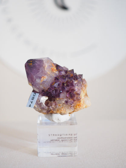 Amethyst Kaktus Quarz Cluster Deep Violett . Spirit Quartz - aus Boekenhouthoek. Mpumalanga. Südafrika HIGH QUALITY