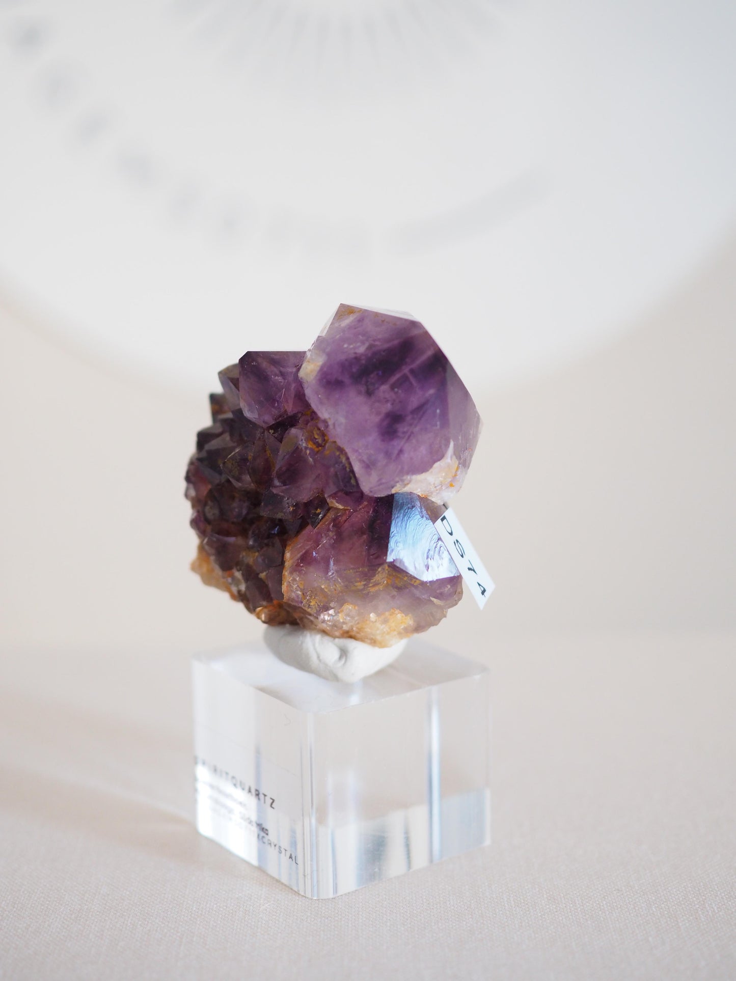 Amethyst Kaktus Quarz Cluster Deep Violett . Spirit Quartz - aus Boekenhouthoek. Mpumalanga. Südafrika HIGH QUALITY