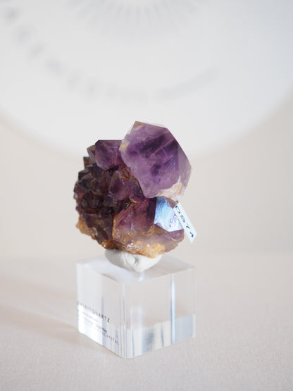 Amethyst Kaktus Quarz Cluster Deep Violett . Spirit Quartz - aus Boekenhouthoek. Mpumalanga. Südafrika HIGH QUALITY