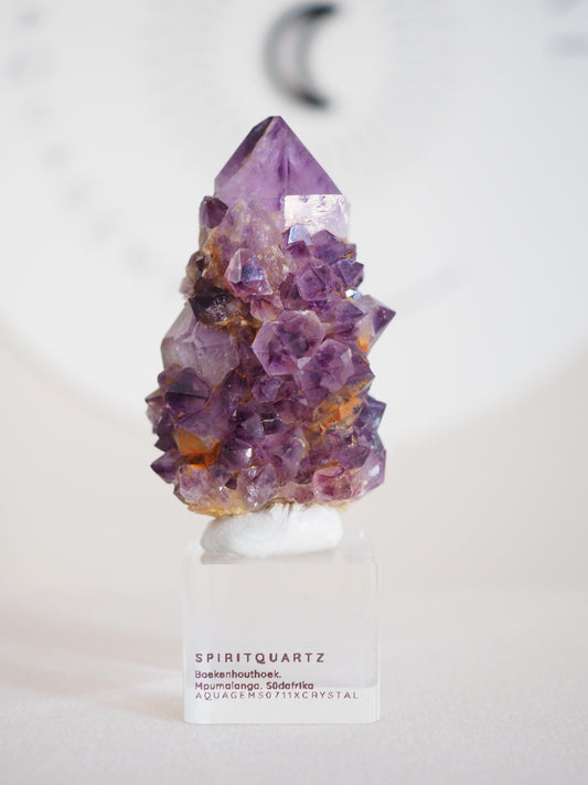 Amethyst Kaktus Quarz Deep Violett . Spirit Quartz - aus Boekenhouthoek. Mpumalanga. Südafrika HIGH QUALITY