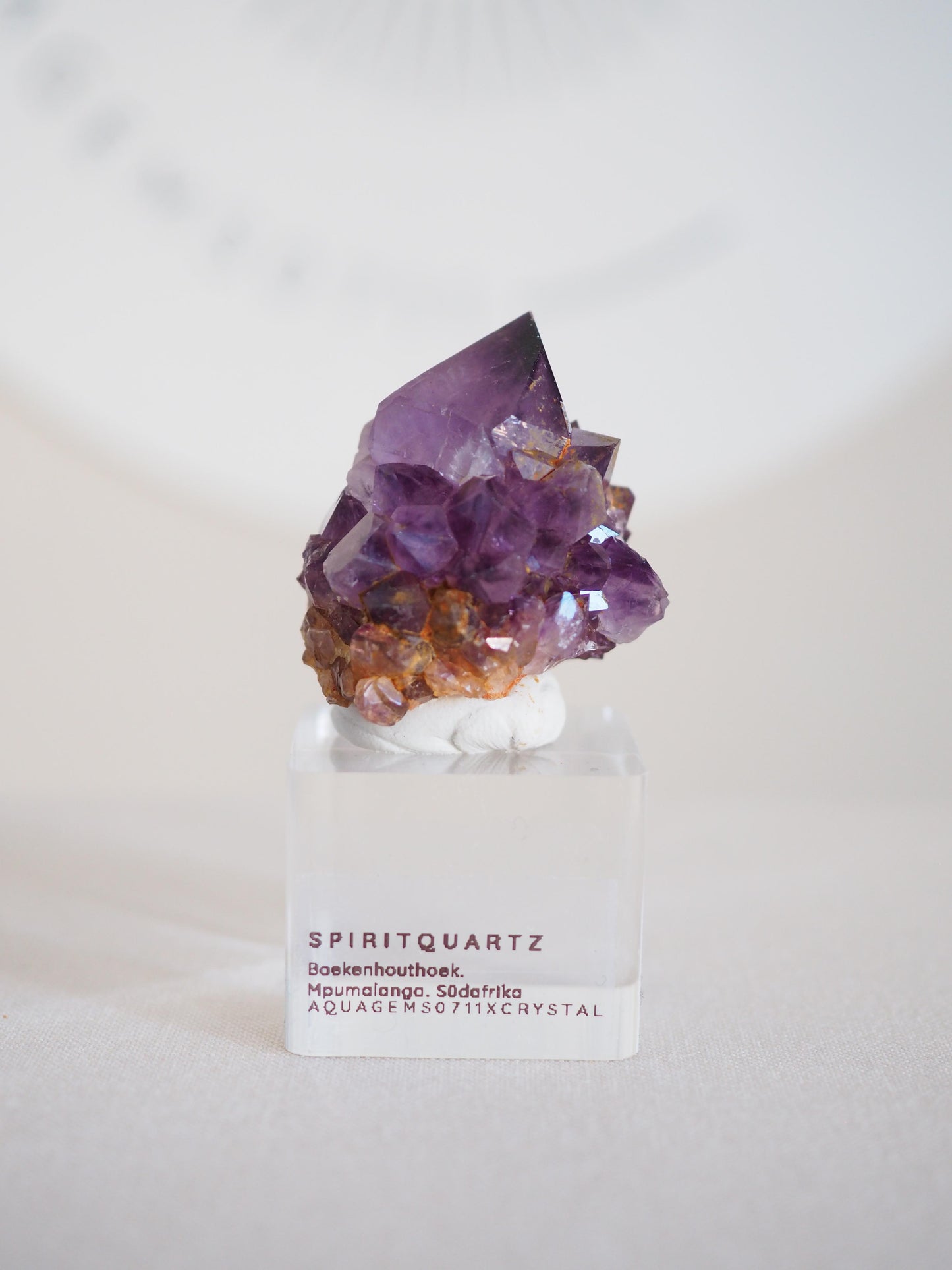 Amethyst Kaktus Quarz Deep Violett . Spirit Quartz - aus Boekenhouthoek. Mpumalanga. Südafrika HIGH QUALITY