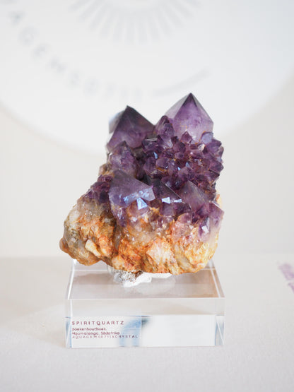 Amethyst Kaktus Quarz Cluster Deep Violett . Spirit Quartz - aus Boekenhouthoek. Mpumalanga. Südafrika HIGH QUALITY