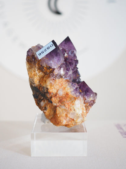 Amethyst Kaktus Quarz Cluster Deep Violett . Spirit Quartz - aus Boekenhouthoek. Mpumalanga. Südafrika HIGH QUALITY