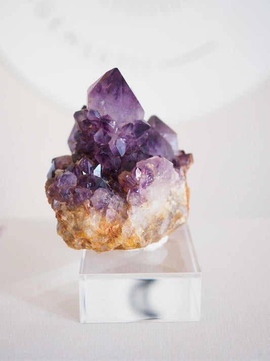 Amethyst Kaktus Quarz Cluster Deep Violett . Spirit Quartz - aus Boekenhouthoek. Mpumalanga. Südafrika HIGH QUALITY