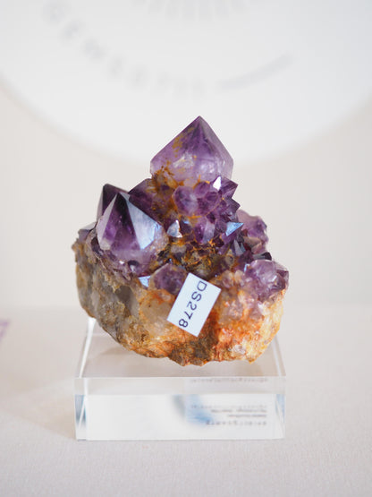 Amethyst Kaktus Quarz Cluster Deep Violett . Spirit Quartz - aus Boekenhouthoek. Mpumalanga. Südafrika HIGH QUALITY