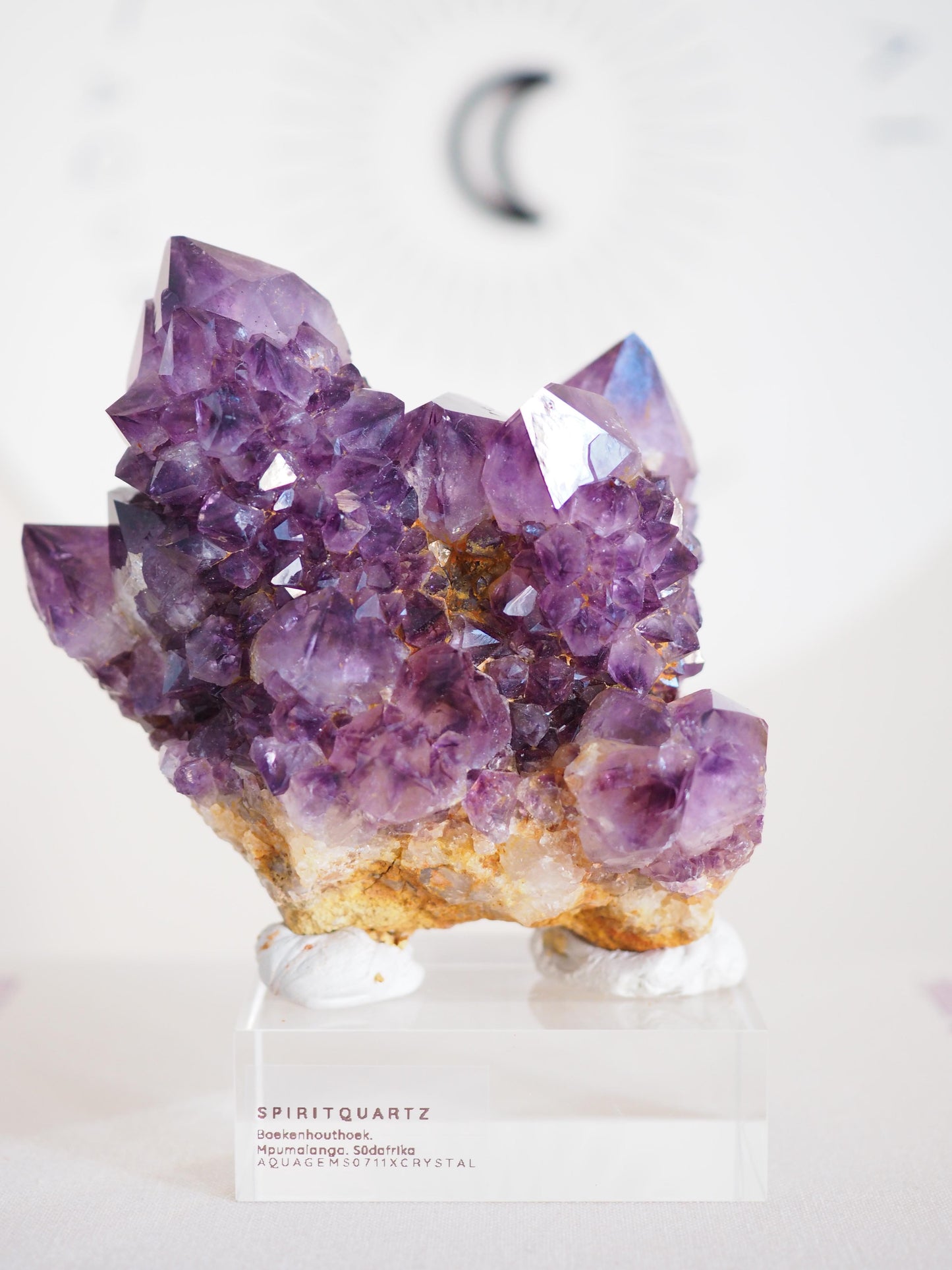 Amethyst Kaktus Quarz Cluster Deep Violett . Spirit Quartz - aus Boekenhouthoek. Mpumalanga. Südafrika HIGH QUALITY