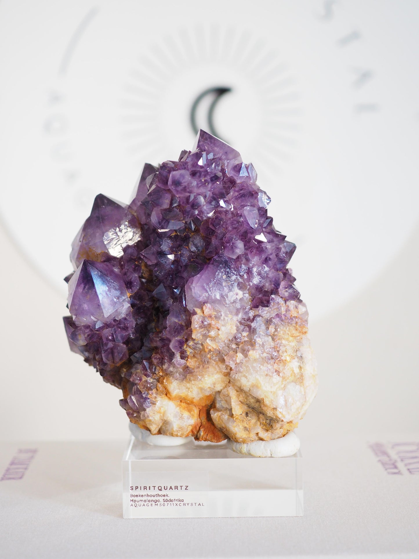 Amethyst Kaktus Quarz Cluster Deep Violett . Spirit Quartz - aus Boekenhouthoek. Mpumalanga. Südafrika HIGH QUALITY