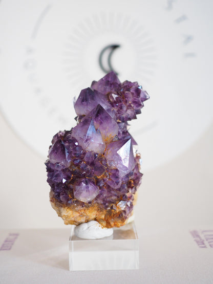 Amethyst Kaktus Quarz Cluster Deep Violett . Spirit Quartz - aus Boekenhouthoek. Mpumalanga. Südafrika HIGH QUALITY