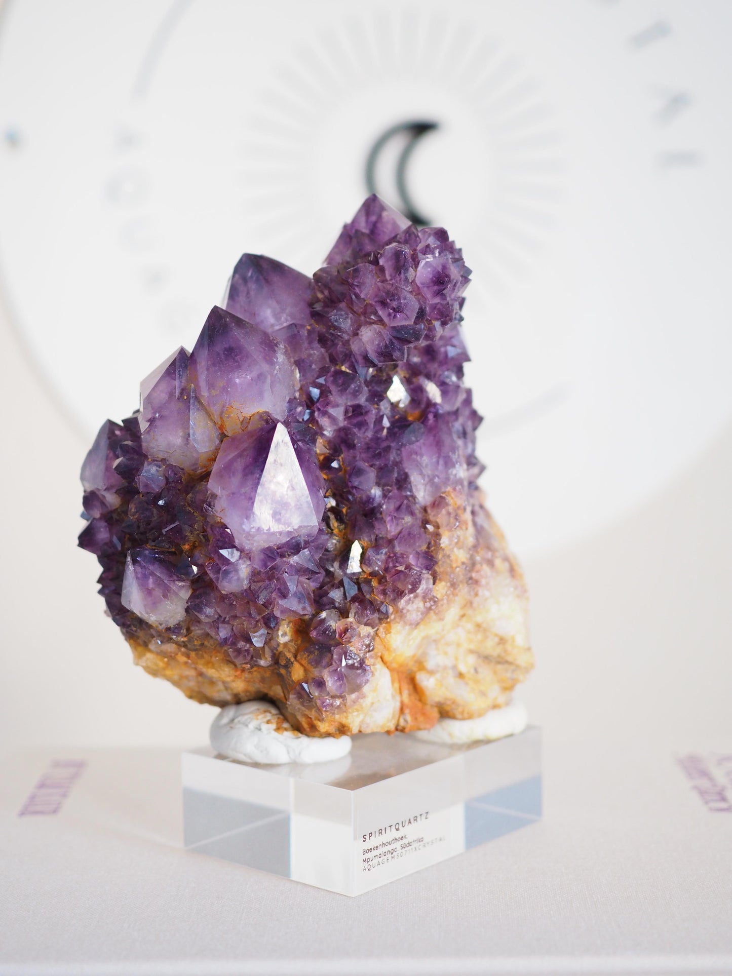 Amethyst Kaktus Quarz Cluster Deep Violett . Spirit Quartz - aus Boekenhouthoek. Mpumalanga. Südafrika HIGH QUALITY