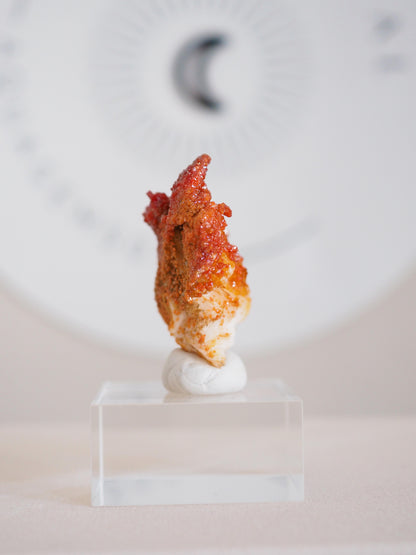 Vanadinit X Baryt Specimen - aus Mibladen Bergbau Bezirk . Midelt. Marokko HIGH QUALITY