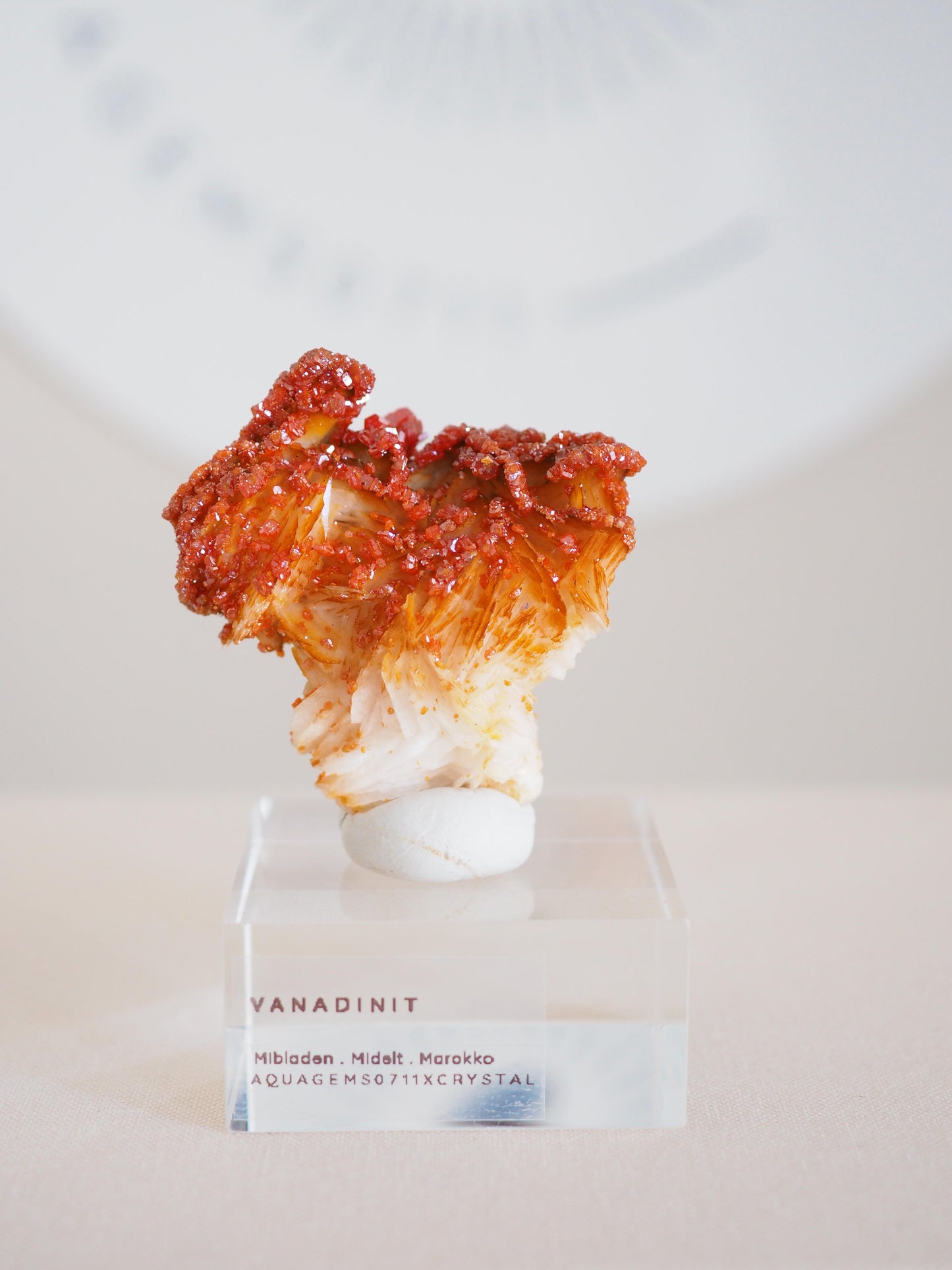 Vanadinit X Baryt Specimen - aus Mibladen Bergbau Bezirk . Midelt. Marokko HIGH QUALITY