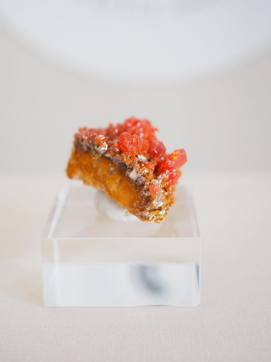 Vanadinit X Baryt Specimen - aus Mibladen Bergbau Bezirk . Midelt. Marokko HIGH QUALITY