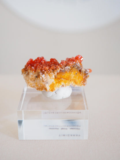 Vanadinit X Baryt Specimen - aus Mibladen Bergbau Bezirk . Midelt. Marokko HIGH QUALITY