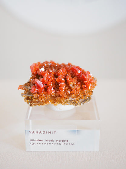 Vanadinit X Baryt Specimen - aus Mibladen Bergbau Bezirk . Midelt. Marokko HIGH QUALITY