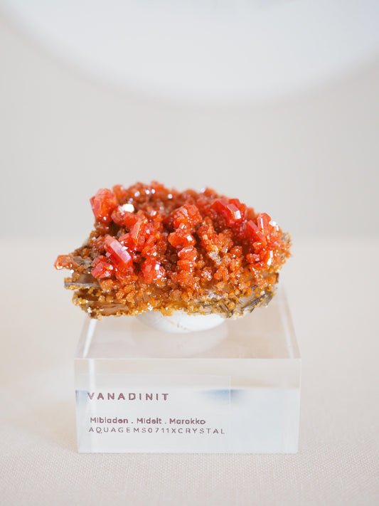 Vanadinit X Baryt Specimen - aus Mibladen Bergbau Bezirk . Midelt. Marokko HIGH QUALITY