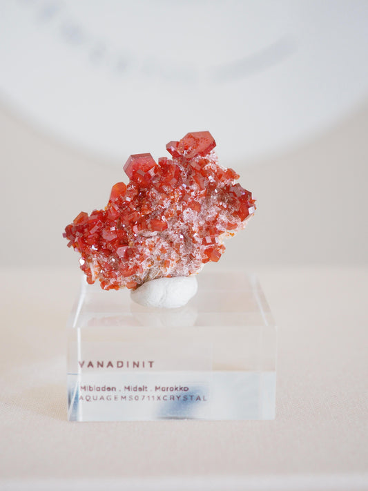 Vanadinit X Baryt Specimen - aus Mibladen Bergbau Bezirk . Midelt. Marokko HIGH QUALITY