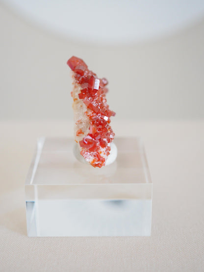 Vanadinit X Baryt Specimen - aus Mibladen Bergbau Bezirk . Midelt. Marokko HIGH QUALITY